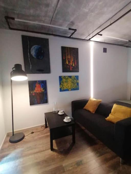 Erdvi Studija Spacious Studio Apartment Self Check In VNO Eksteriør bilde